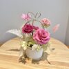 Premium pot arrangement (Various designs)