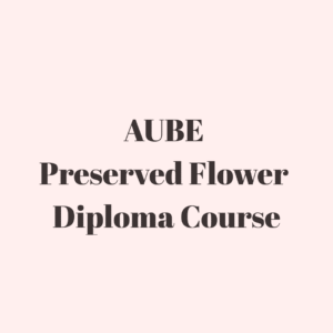 AUBE Trial course