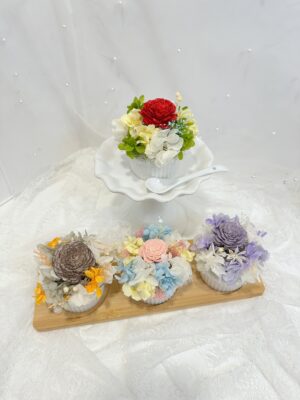 "Cup Cake" Flower 🍀